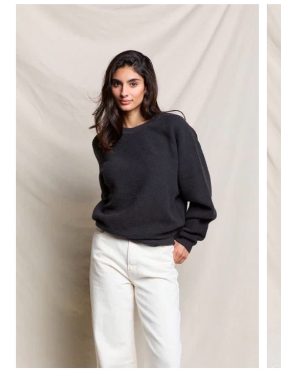 perfectwhitetee Sweaters - ziggy oversized reverse fleece oversized crew neck sweatshirt (s) EUC